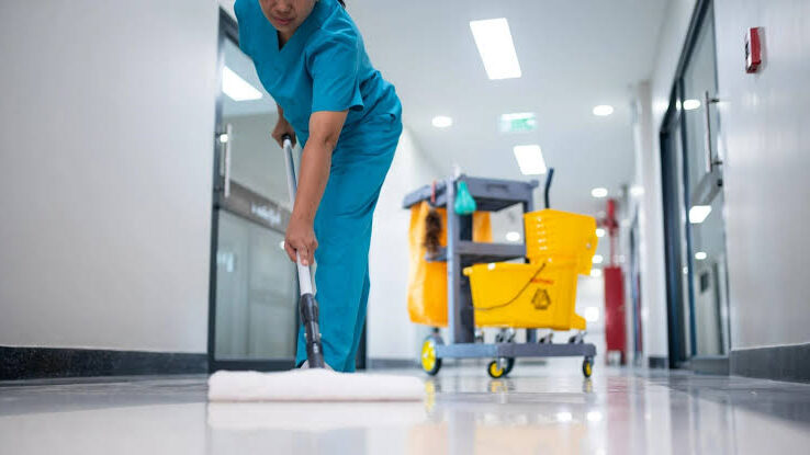 Veterinary Clinic Cleaning Schedule: Daily, Weekly and Monthly Tasks